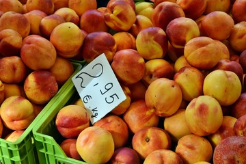 Nectarines with price at vegetable local market in Alcudia, Mallorca