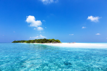 Amazing tropical island with coconut palms