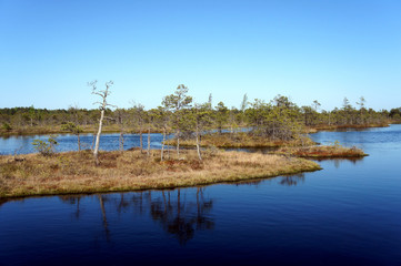 Tiny islets on one of the marsh lakes in the Kemer National Park. 