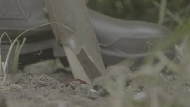 Close-up of a shovel being pushed into the ground with a boot. The ground is surrounded by grass. Shot with the GH5 in 4k V-log, 25fps