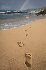 Rainbows on the beach in Hawaii