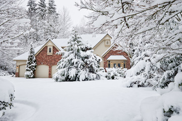 Winter snowstorm brings unexpected white blanket to Western Washington