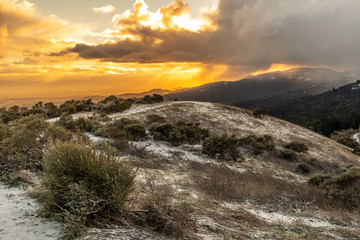 Bright orange sunlight illuminating the freshly fallen snow on the Bay Area Peninsula, Windy Hill Open Space Preserve, California