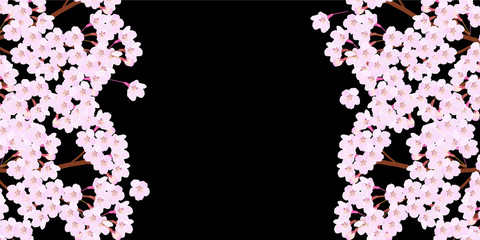 桜　春　花　背景