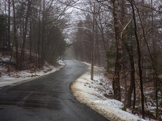 Road in winter forest on a misty day, fog.