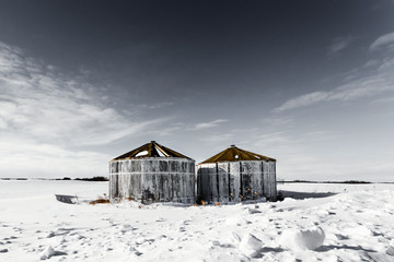 Spotlight On The Bins