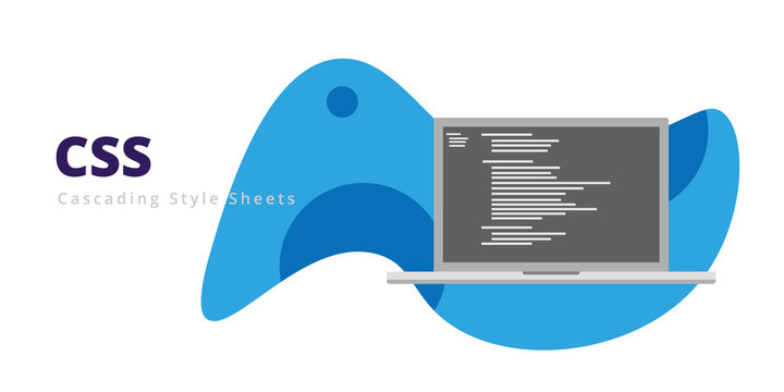 Learn to code CSS programming language with script code on laptop screen, programming language code illustration - Vector