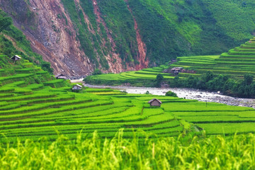 Fototapeta premium Rice field at Mu Cang Chai, Vietnam