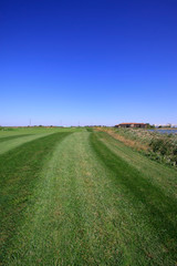 golf course landscape