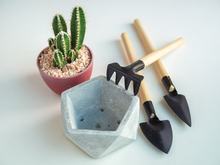 Geometric pentagon concrete planter with cactus plant and garden tool set