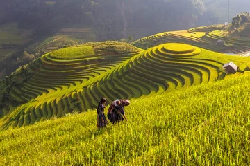 Abwaschbare Fototapete Reisfelder Reisfeld bei Mu Cang Chai, Vietnam