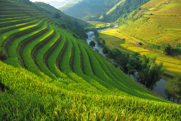 Obraz premium Rice field at Mu Cang Chai, Vietnam