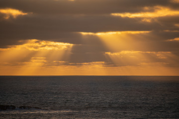 Rays of golden lights at sunset, Muriwai Beach Auckland