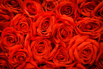 Romantic red natural roses background