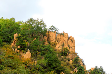 Naklejka premium mountain natural scenery