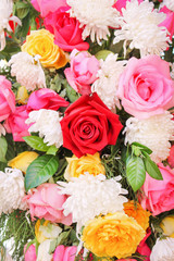 Colorful bouquet ornamental of red ,pink roses flower and white  chrysanthemum blooming natural patterns texture for background