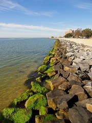 rocky retaining wall