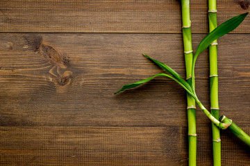 Asian background. Green bamboo branches on dark wooden background top view copy space