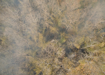 abstract grunge background