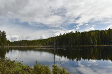 Calme absolue sur un lac