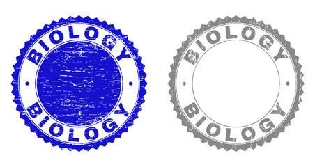 Grunge BIOLOGY stamp seals isolated on a white background. Rosette seals with grunge texture in blue and grey colors. Vector rubber overlay of BIOLOGY title inside round rosette.