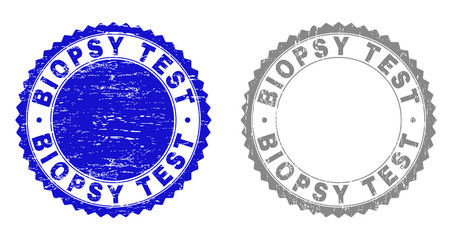 Grunge BIOPSY TEST stamp seals isolated on a white background. Rosette seals with grunge texture in blue and grey colors. Vector rubber imitation of BIOPSY TEST title inside round rosette.