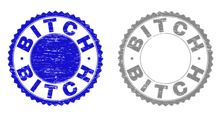 Grunge BITCH stamp seals isolated on a white background. Rosette seals with grunge texture in blue and grey colors. Vector rubber imprint of BITCH tag inside round rosette.