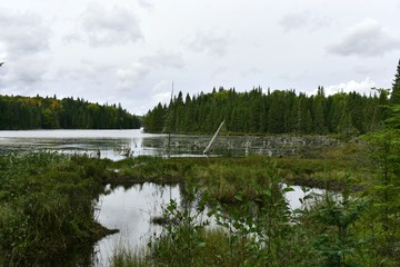 Obraz premium Lac québécois, la nature pure