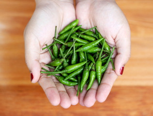 Green Chilli on hand
