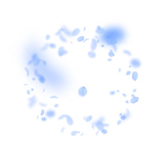 Dark blue flower petals falling down. Actual roman