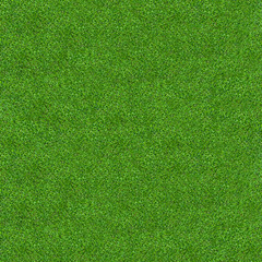 Green grass texture for background. Green lawn pattern and texture background. Close-up.