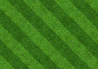 Fototapeta na wymiar Green grass field background for soccer and football sports. Green lawn pattern and texture background. Close-up.