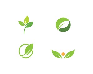 green leaf logo