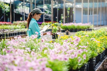 Young women working at the flower garden are studying and writing records of the changes of flower trees. Flower garden background