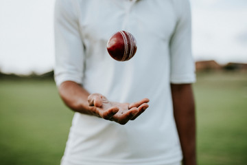 Cricket player ready to throw the ball © Rawpixel.com