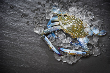 Seafood crab on ice / Fresh raw Blue Swimming Crab ocean gourmet with ice on dark