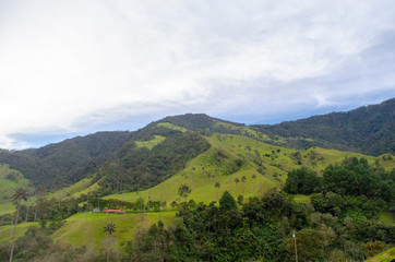 Paisaje del Valle del Cocora en Salento, Colombia