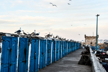 view of Essaouira City of Morocco Africa
