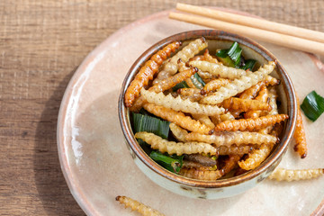 Bamboo edible worm insects crispy or Bamboo Caterpillar in a ceramic bowl on a wood table. The concept of protein food sources from insects. It is a good source of protein, vitamin, and fiber.
