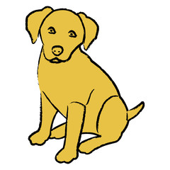Cute sitting labrador retriever puppy vector illustration