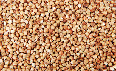 Organic Buckwheat Background