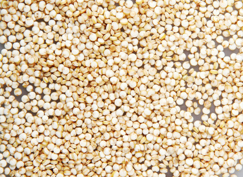 Heap Of Quinoa Seeds