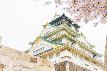 Osaka castle with pink sakura flower winter spring season