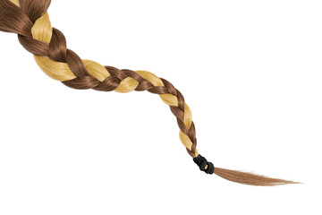Women braid on a white background. Blond and brown hair, isolated