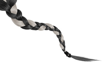 Women braid on a white background. Gray and black hair, isolated