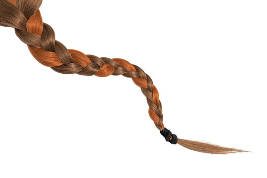 Women Braid On A White Background. Brown And Red Hair, Isolated