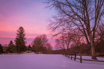 Winter snow at dusk fills the sky with beautiful tones of violet in a fence-lined park	