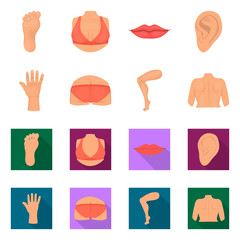 Isolated object of body and part icon. Set of body and anatomy vector icon for stock.