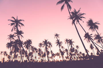 Tropical palm coconut trees on sunset sky nature background.