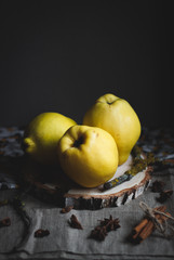 Yellow quince on a birch base